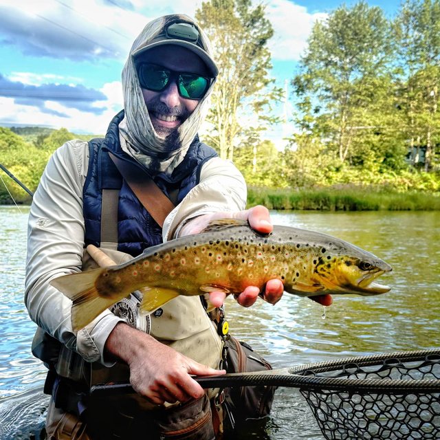 Holding a brown trout in a Catskills river